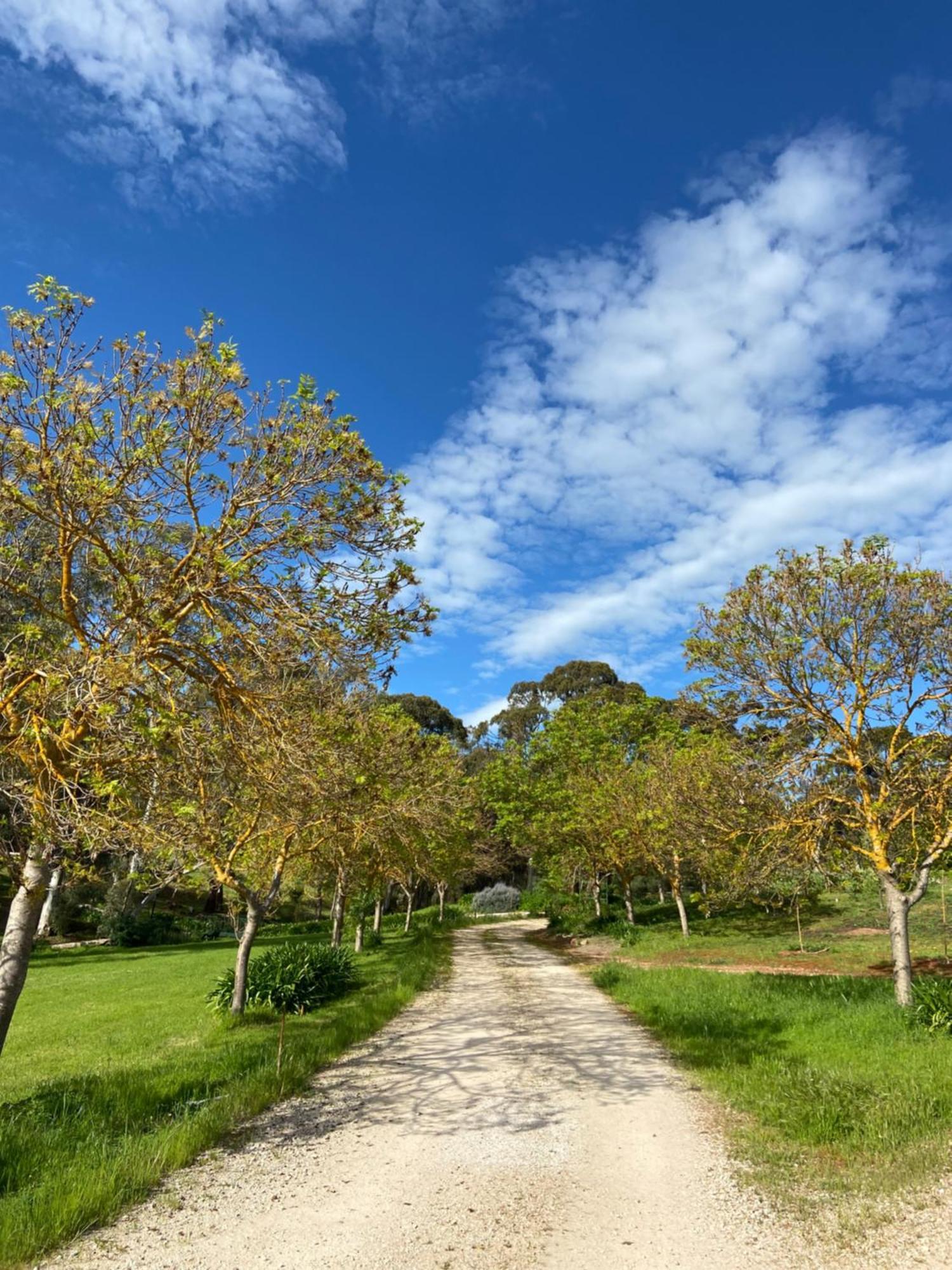 Battunga Cottages Watervale ภายนอก รูปภาพ